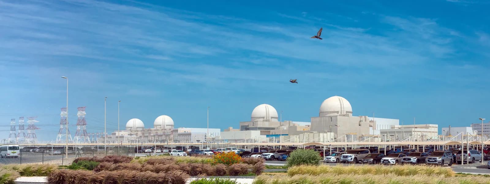 Emirates Nuclear Energy Corporation banner